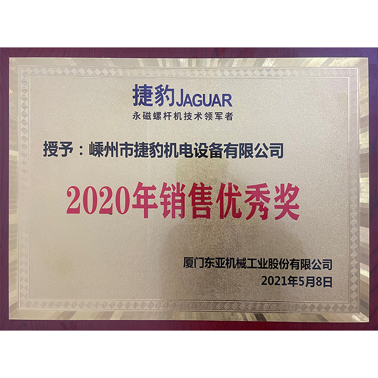 2020年销售优秀奖