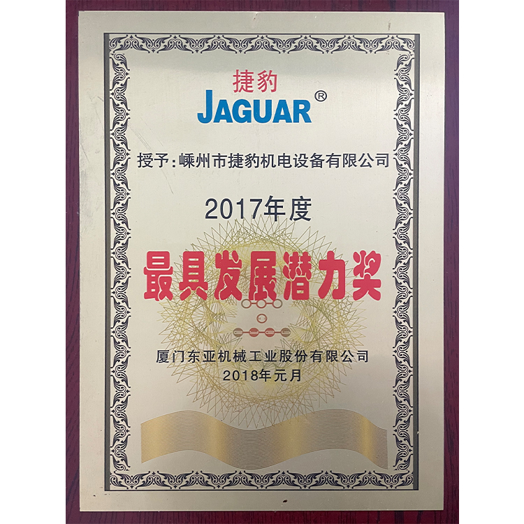 最具发展潜力奖
